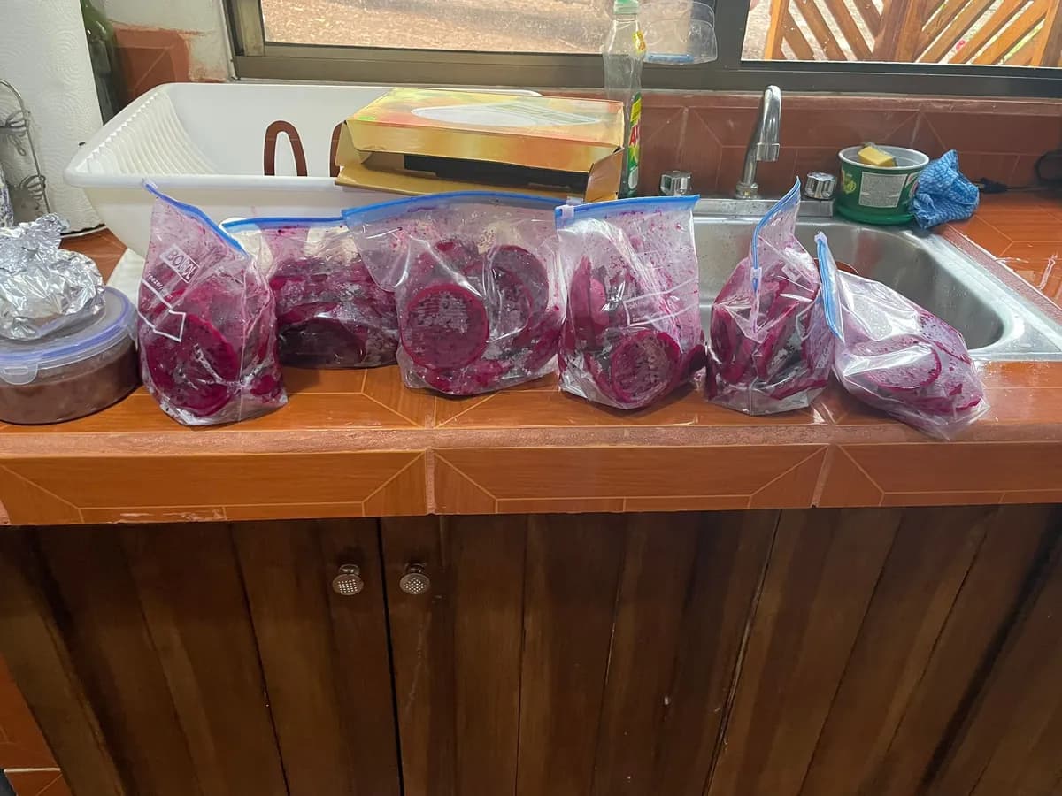 Pulpa de fruta porcionada y congelada